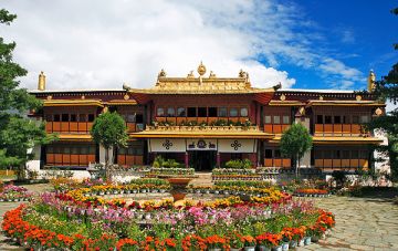 Beautiful 3 Days 2 Nights Dharamshala with Delhi Tour Package
