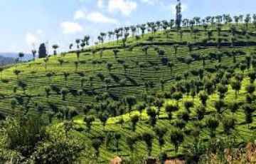 Ecstatic 3 Days 2 Nights Coimbatote Trip Package