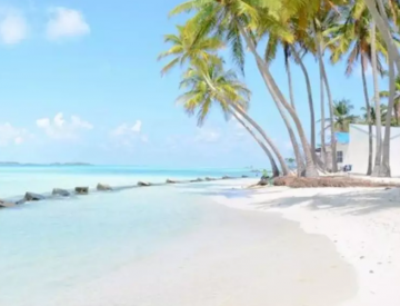 Ecstatic 2 Days 1 Night Discover The Underwater Of Maldives Tour Package