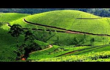 Beautiful 4 Days Bangalore to Banglore Tour Package
