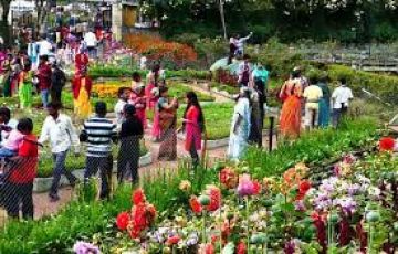 Beautiful 4 Days Bangalore to Banglore Tour Package
