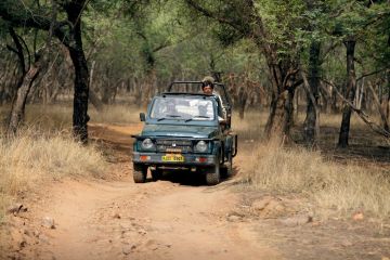 Amazing 3 Days Jaipur to Ranthambore Tour Package