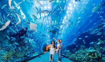 Magical 6 Days 5 Nights Dubai, Dubai and Abu Dhabi City Tourbr Tour Package