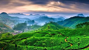 7 Days 6 Nights Arrival At Cochin Airport - Munnar4hrs Drive Tour Package