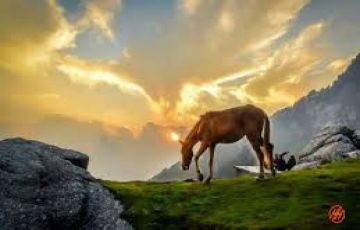 Pleasurable Back To Home Tour Package for 6 Days 5 Nights