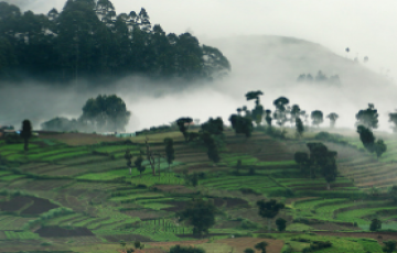 Memorable 4 Days Cochin to Munnar Tour Package