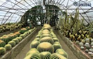 Beautiful 4 Days Ixbnjp to Kalimpong Tour Package