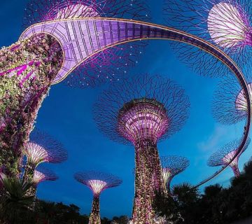 Ecstatic 5 Days Singapore Trip Package