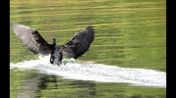 Family Getaway 5 Days Munnar, Thekkady, Back To Home with Alleppey Trip Package by MyTripVacationsCom