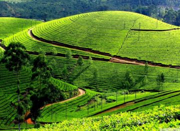 Amazing 4 Days 3 Nights Mysore, Coorg with Bangalore Trip Package