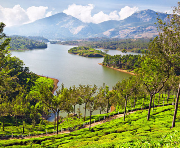 Magical 4 Days Alleppey to Thekkady Trip Package