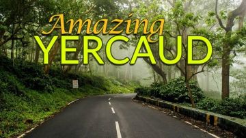 Amazing 2 Days 1 Night Yercaud Trip Package
