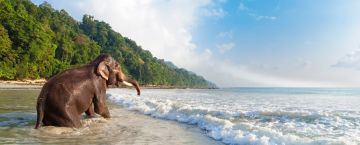 Best 6 Days 5 Nights Havelock Island Tour Package