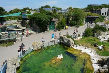 Ecstatic 11 Days 10 Nights Vienna, Salzburg, Brussels and Amsterdam Trip Package