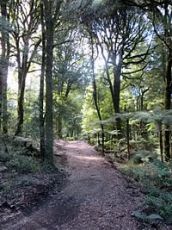 Magical 3 Days Chandigarh To Kasoli, Ksoli and Cahndigarh Trip Package