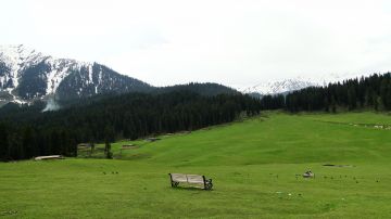 Family Getaway 8 Days New Delhi to Gulmarg Trip Package