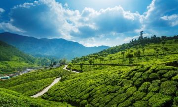 Memorable 5 Days 4 Nights Cochin, Munnar, Thekkady and Alleppey Tour Package