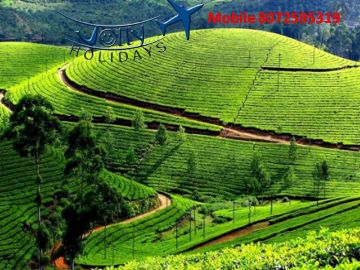 Amazing 4 Days 3 Nights Coimbatore, Ooty and Coonoor Vacation Package