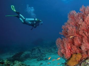 Ecstatic 5 Days Neil Island India to Havelock Island India Vacation Package