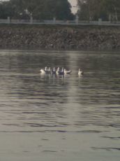 2 Days Early Morning Arrival At Ranchi Our Representative Will Contact You And Departure To Mccluskieganj After Fresh Visit To Duga Dugi River 