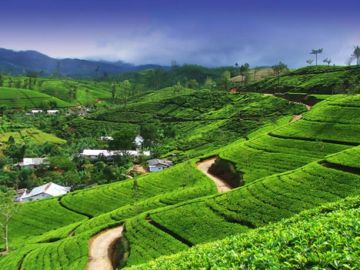 5 Days 4 Nights Darjeeling Tour Package