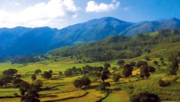 Amazing 3 Days 2 Nights Coorg and Bangalore Trip Package