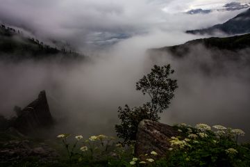 Pleasurable 4 Days 3 Nights Kullu  Delhi Drop Tour Package