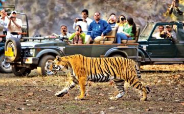 Beautiful Jim Corbett Tour Package for 6 Days 5 Nights from Nainital
