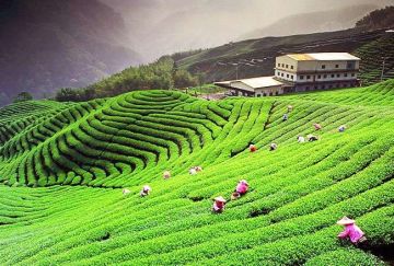 Memorable 2 Days 1 Night Katra Tour Package