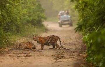 Memorable 2 Days Jim Corbett Holiday Package