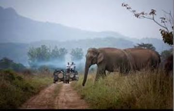 Best Jim Corbett Tour Package for 2 Days 1 Night