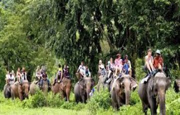 Pleasurable 2 Days 1 Night Jim Corbett Holiday Package