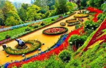 Best Ooty120km Tour Package for 4 Days