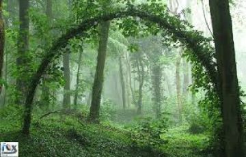 Family Getaway - Kodaikanal Tour Package from Coimbatore Airport