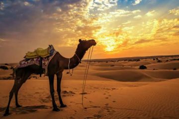 Family Getaway 4 Days Jaisalmer Tour Package