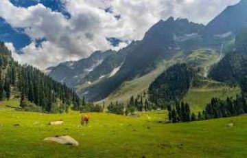 5 Days 4 Nights Manali Tour Package by MMJ TOURS AND TRAVELS PRIVATE LIMITED