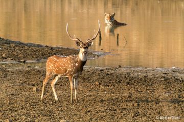 Beautiful 2 Days 1 Night Nagpur Vacation Package