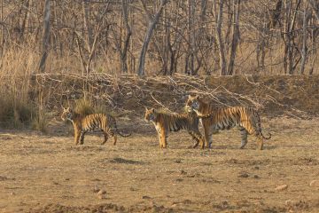 Pleasurable 4 Days 3 Nights Nagpur Vacation Package