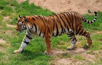 Memorable 4 Days 3 Nights Nagpur Vacation Package
