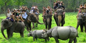 Experience 7 Days 6 Nights Shillong, Cherrapunjee, Guwahati and Kaziranga Tour Package