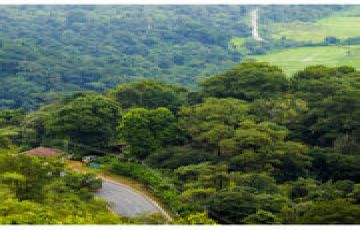 Amazing 2 Days Coorg Trip Package