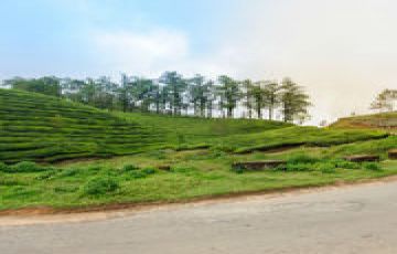 Best 2 Days Coorg Trip Package