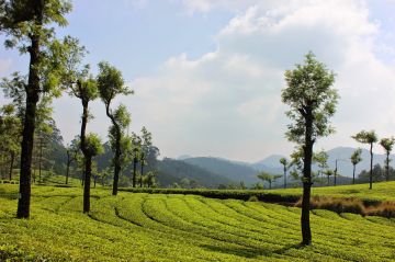 8 Days Trivandrum to Munnar Tour Package