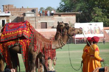 Ecstatic 8 Days Jaipur to Jaisalmer Vacation Package