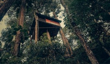 Amazing 6 Days Kochi to Alleppey Vacation Package