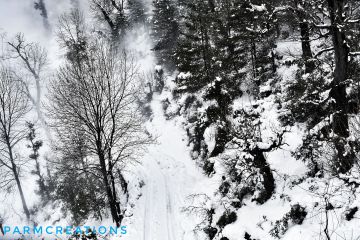 Ecstatic 3 Days Joshimath with Auli Tour Package