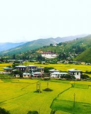 Ecstatic Paro Tour Package for 8 Days 7 Nights
