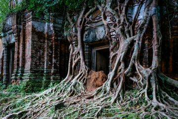 Beautiful 4 Days Siem Reap to Arrival Siem Reap Vacation Package