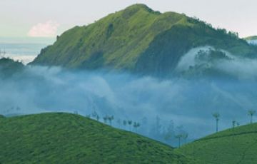 Memorable 3 Days 2 Nights Kochi with Munnar Tour Package