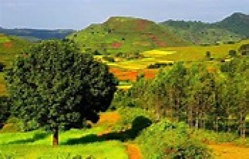 Magical 3 Days 2 Nights Vishakhapatnam, Araku Valley with Visakhapatnam Vacation Package